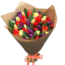 заказать Тюльпани