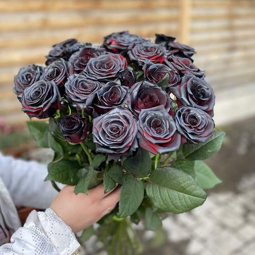 живе фото товару "25 чорних троянд"