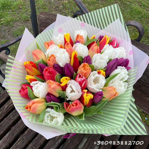 Букет різнокольорових тюльпанів фото