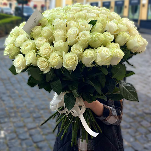 Фото товара 101 імпортна біла троянда у Львові